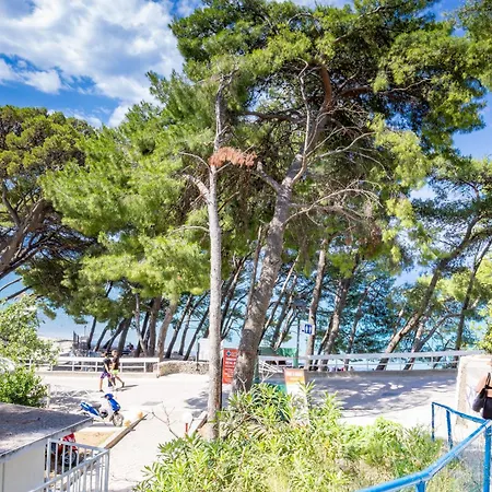 Beachfront Seashell Srzic Lägenhet Makarska